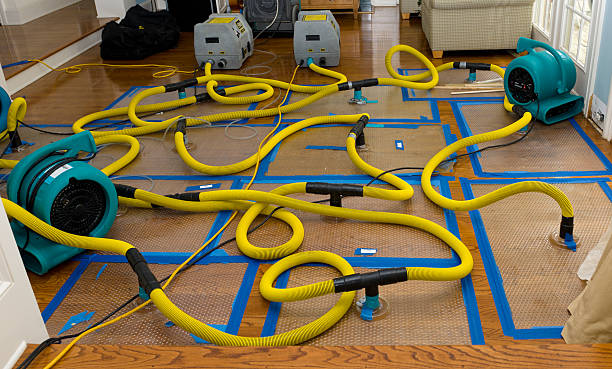 Professional Burst Pipe Water Damage technician working in Chatham, NY